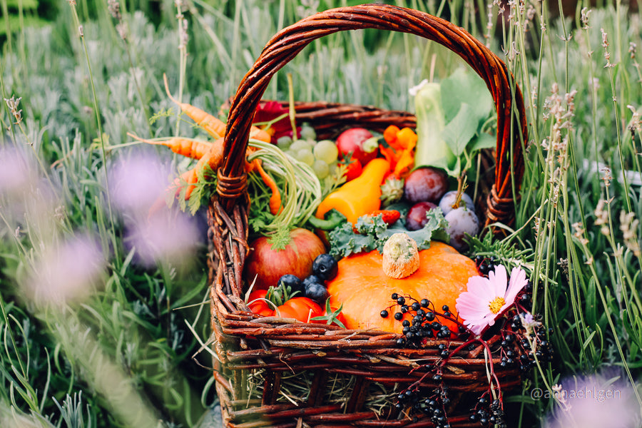 regionales saisonales Obst und Gemüse aus dem Garten in einem Korb für die Familienküche