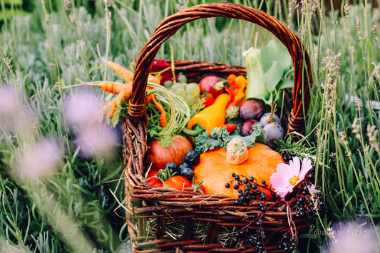 regionales saisonales Obst und Gemüse aus dem Garten in einem Korb für die Familienküche